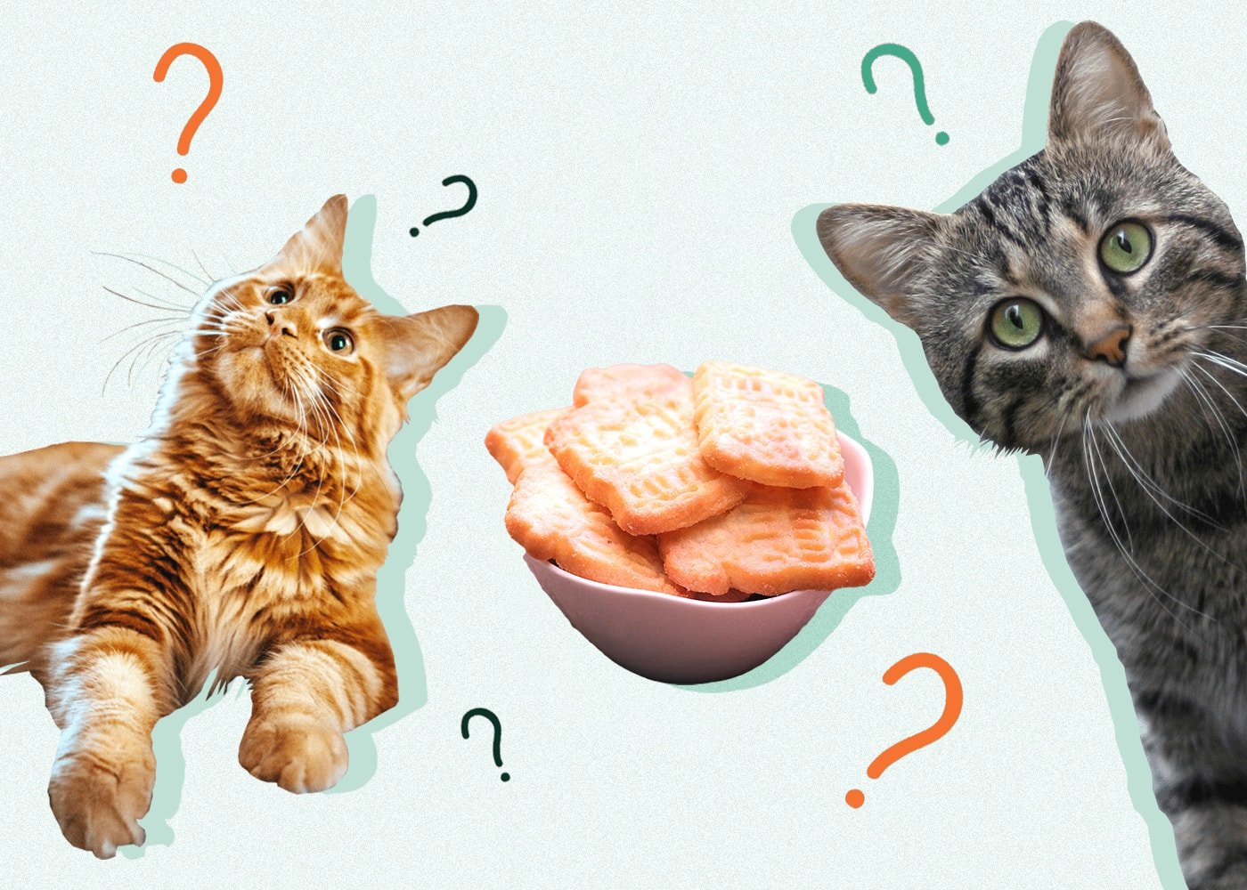 Can Cats Eat Biscuits