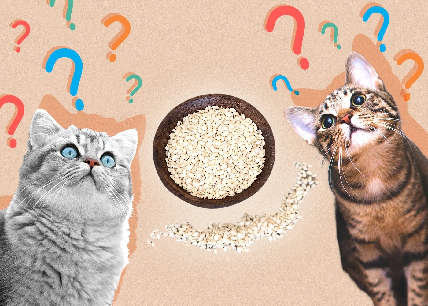 Can Cats Eat Sesame Seeds