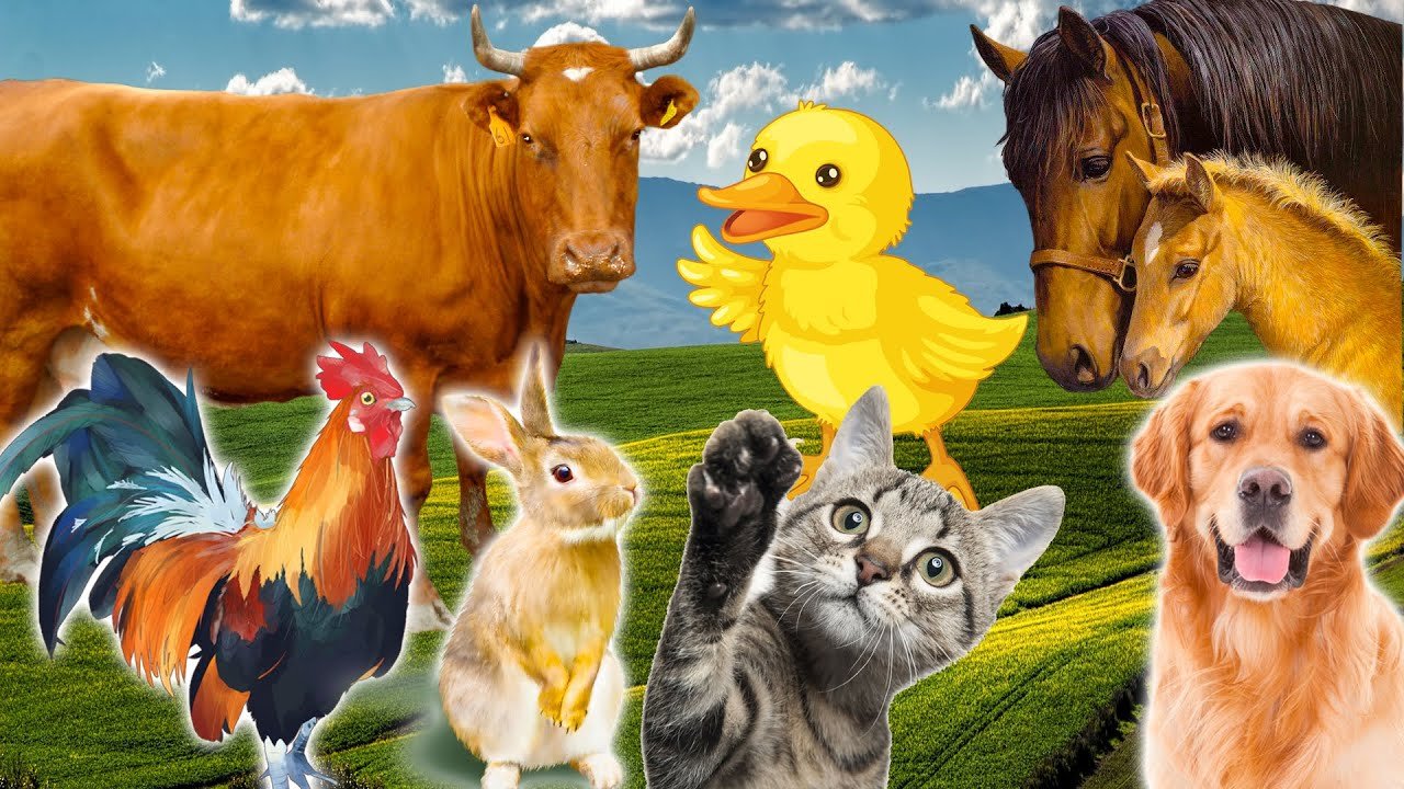 Do Cattle Eat Dog And Cat Parts