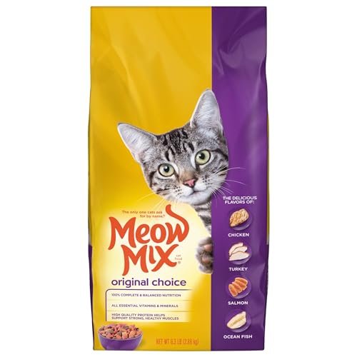 Best Cat Food for Cats