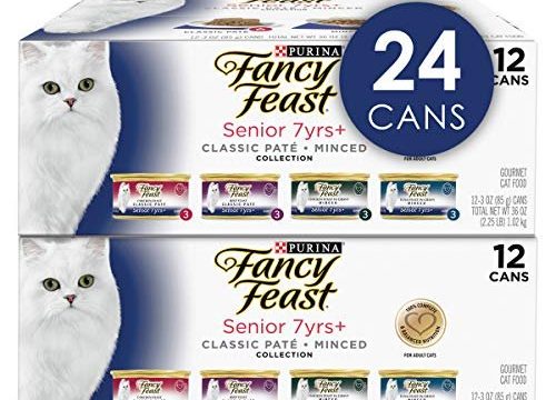 Best Wet Food for Older Cats