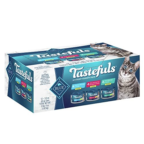 Best Canned Cat Food for Picky Eaters