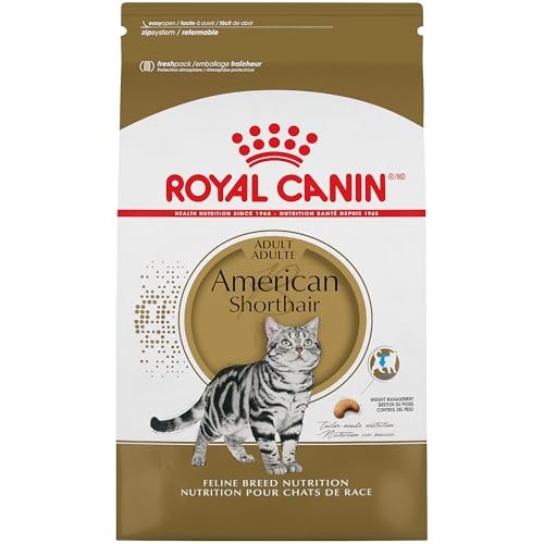 Best Cat Food for American Shorthair