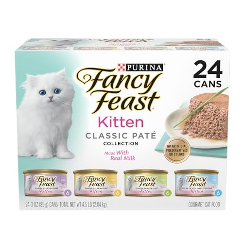 Best Cat Food for Gassy Kitten