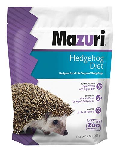 Best Cat Food for Hedgehogs