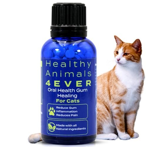 Best Cat Food for Inflammatory Bowel Disease