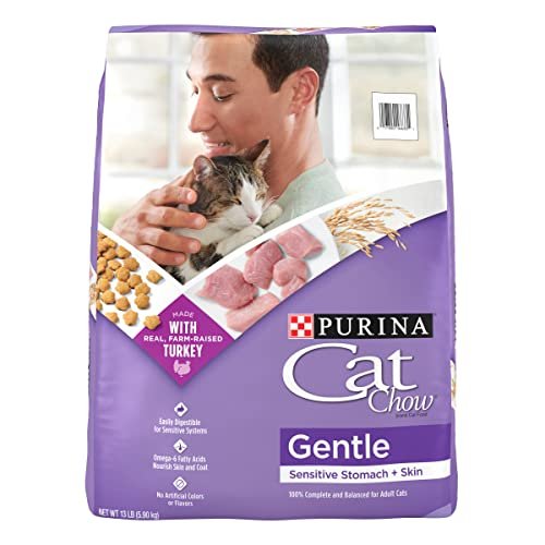 Best Cat Food for Vomiting Cats