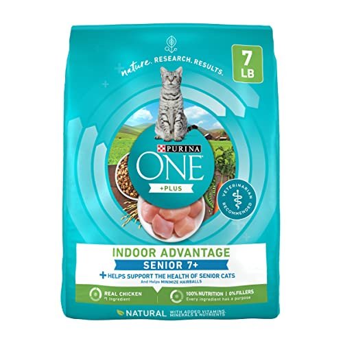 Best Dry Cat Food for Older Cats