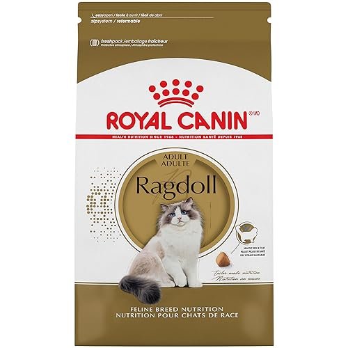 Best Dry Food for Ragdoll Cats