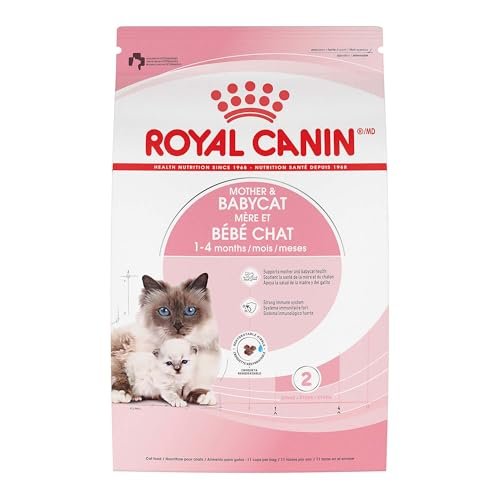 Best Food for Nursing Cats