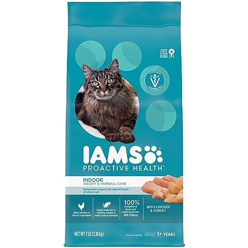 Best Food for Overweight Cat