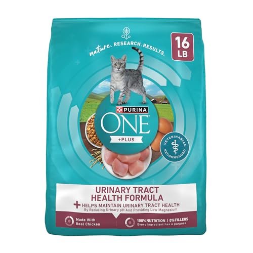 Best Food for Uti in Cats