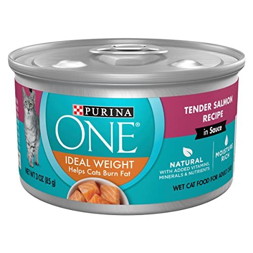 Best Wet Cat Food for Weight Loss