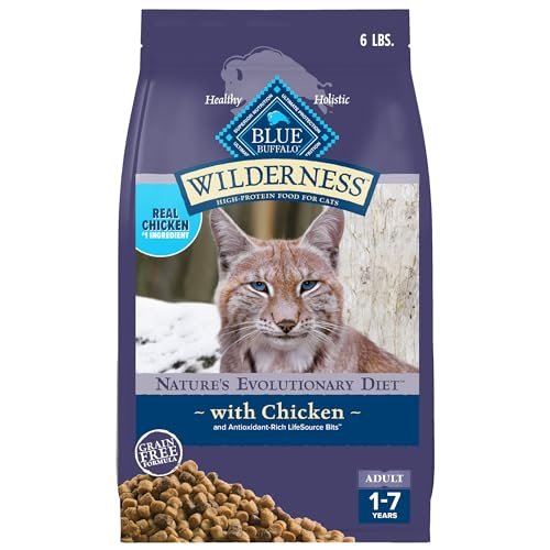 What is the Best Food for Cats