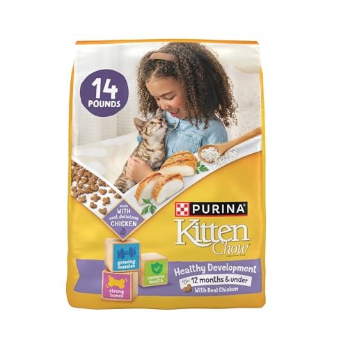 What'S the Best Cat Food for Kittens