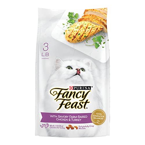 Best Dry Cat Food for Finicky Eaters