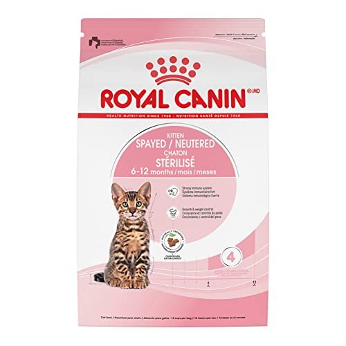 Best Food for 6 Month Old Cat