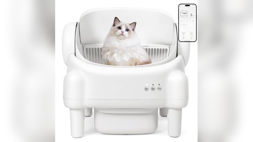 Best Automatic Cat Litter Box for Multiple Cats