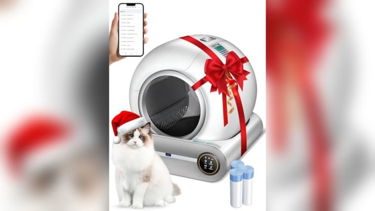 Best Automatic Litter Box for Big Cats