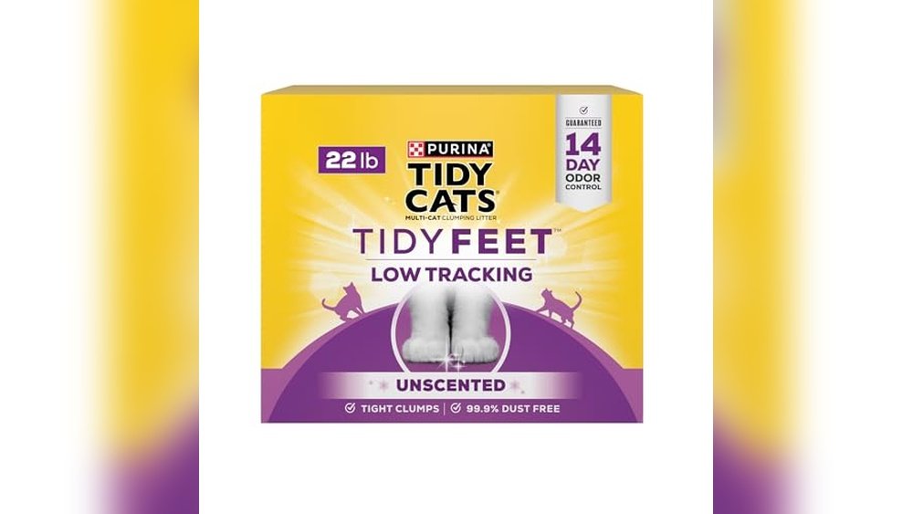 Best Cat Litter for Less Tracking