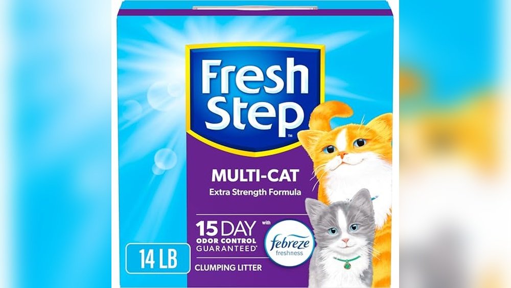 Best Cat Litter for Messy Cats