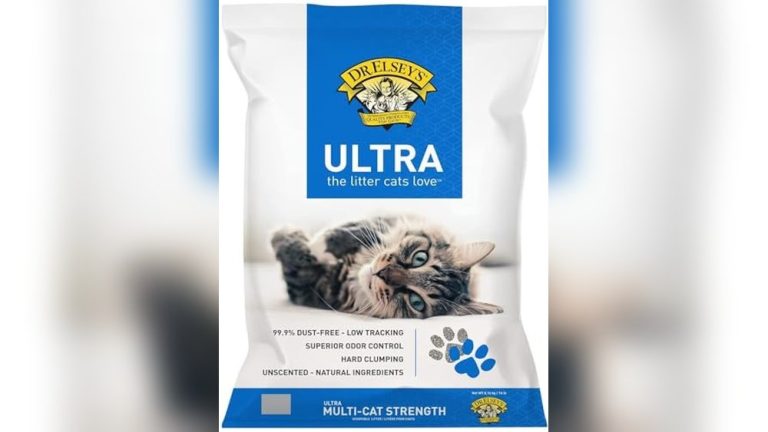 Best Cat Litter for Senior Cats