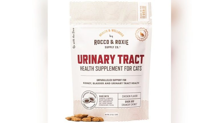 Best Cat Litter for Uti