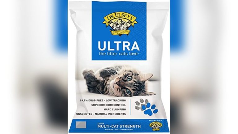 Best Kitty Litter for Cats With Allergies