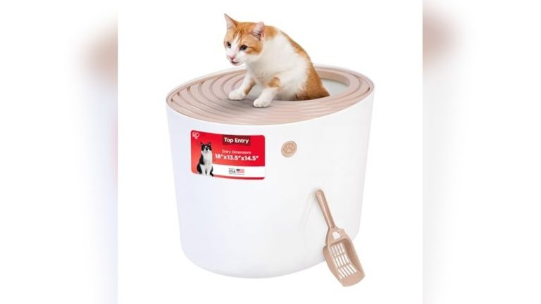Best Litter Box for Cats Who Kick Litter