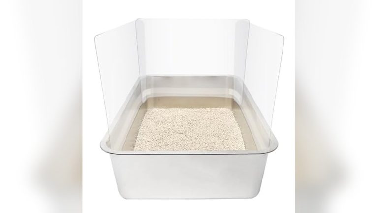 Best Litter Box for Cats Who Pee Outside Box