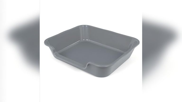 Best Litter Box for Senior Cats