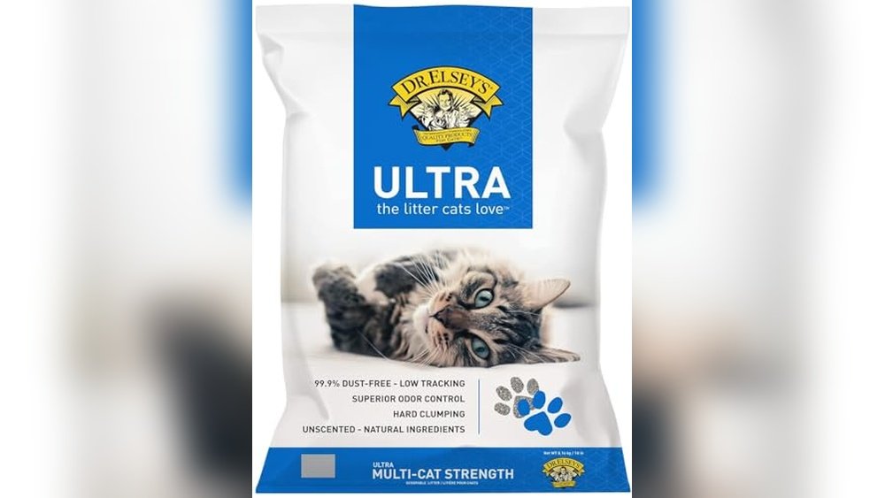 Best Litter for Cats With Urinary Issues