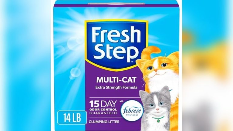 Best Litter for Odor Control Multiple Cats
