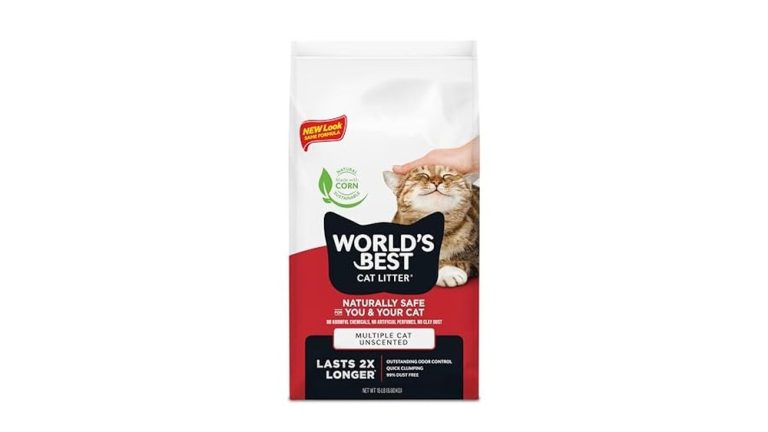 World'S Best Cat Litter for Kittens