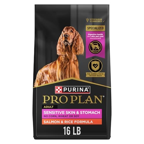 best dog food for digestive problems