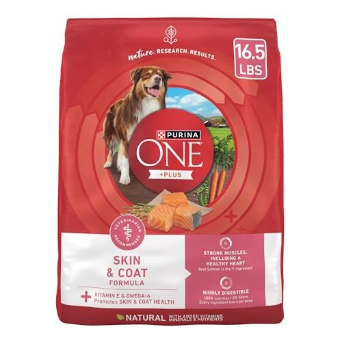 best dog food for senior dog with sensitive stomach