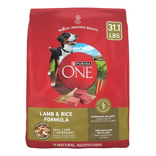best dry food for senior dogs