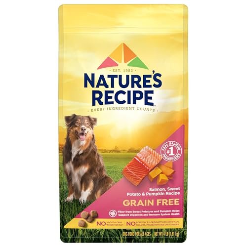 best food for dog allergies