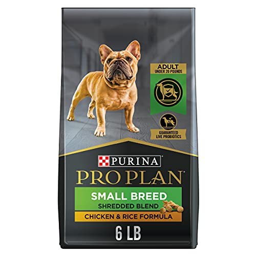 what is the best dog food for senior dogs